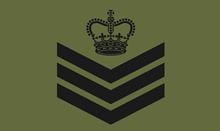 CSgt RM Rank Slide