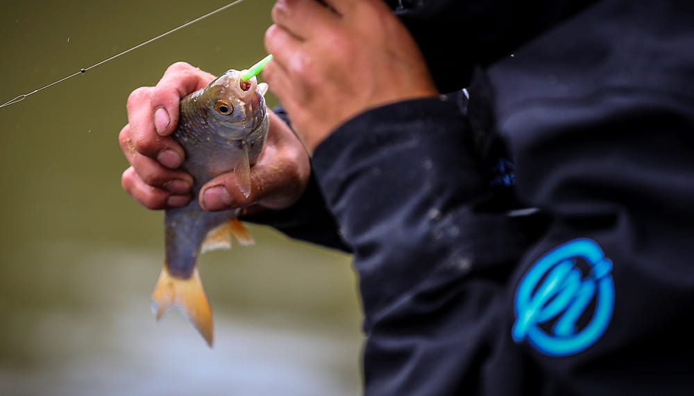 A fisherman with a fish in their hand trying to remove the line from its mouth