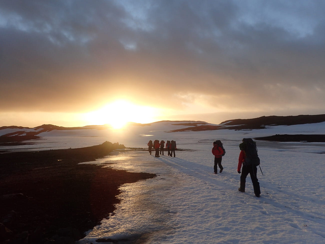 Antarctic Endurance 2016