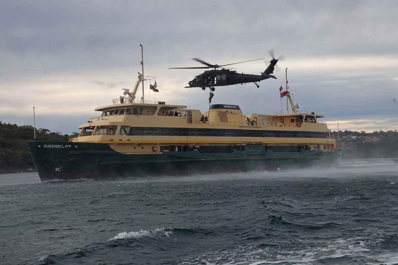 swooping on the ferry