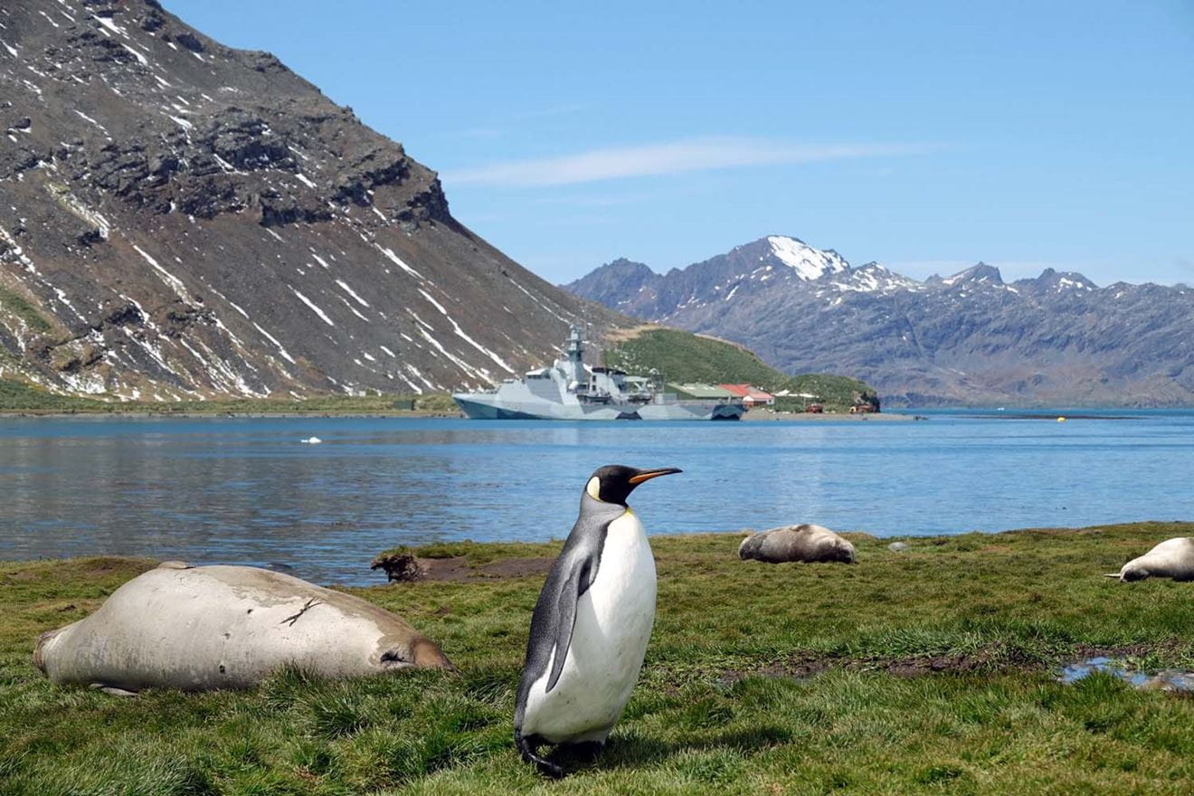  Navy helps scientists confirm arrival of bird flu in Antarctic wildlife paradise