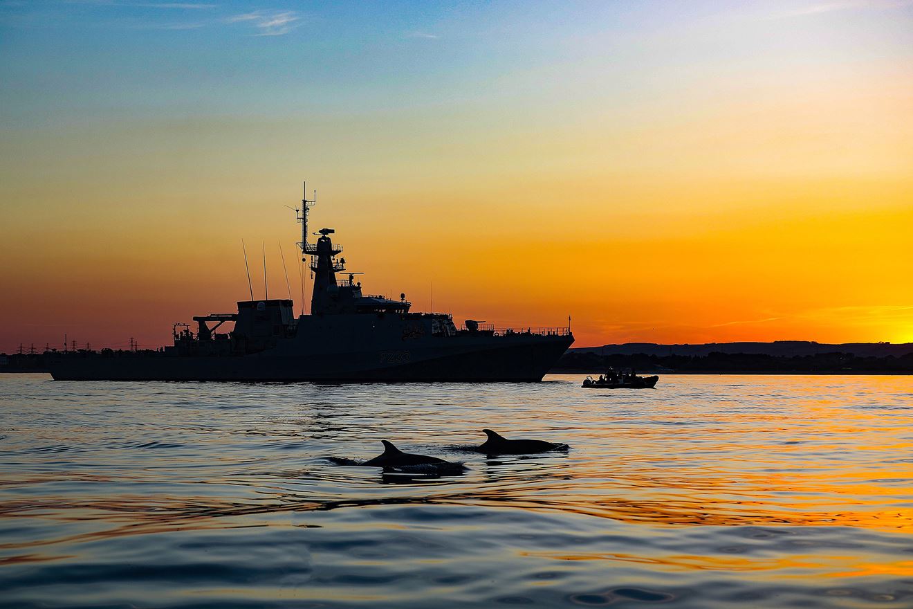 Dolphins join HMS Tamar off Portland Dolphins join HMS Tamar off Portland