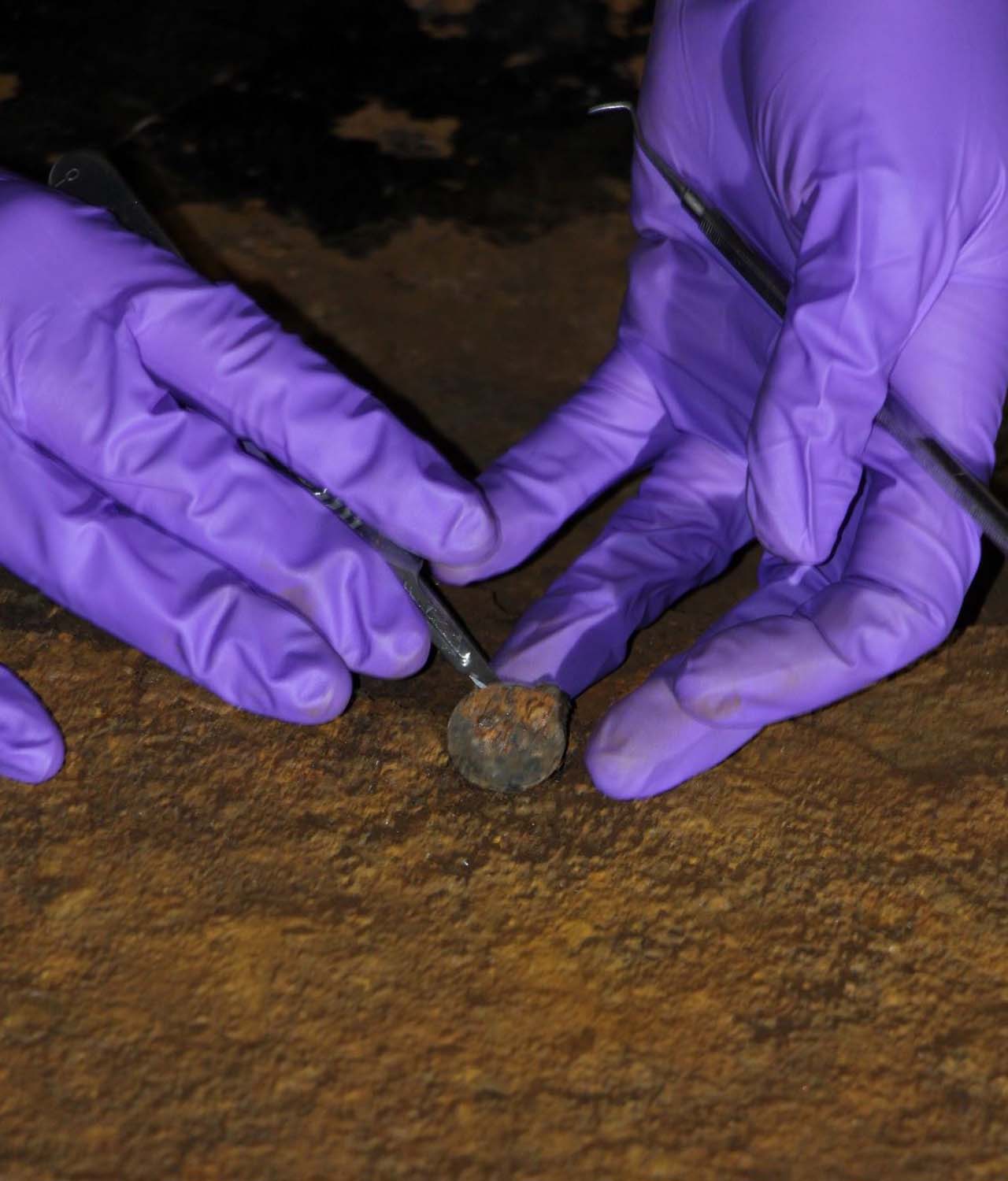 Coin found under Victory's mast