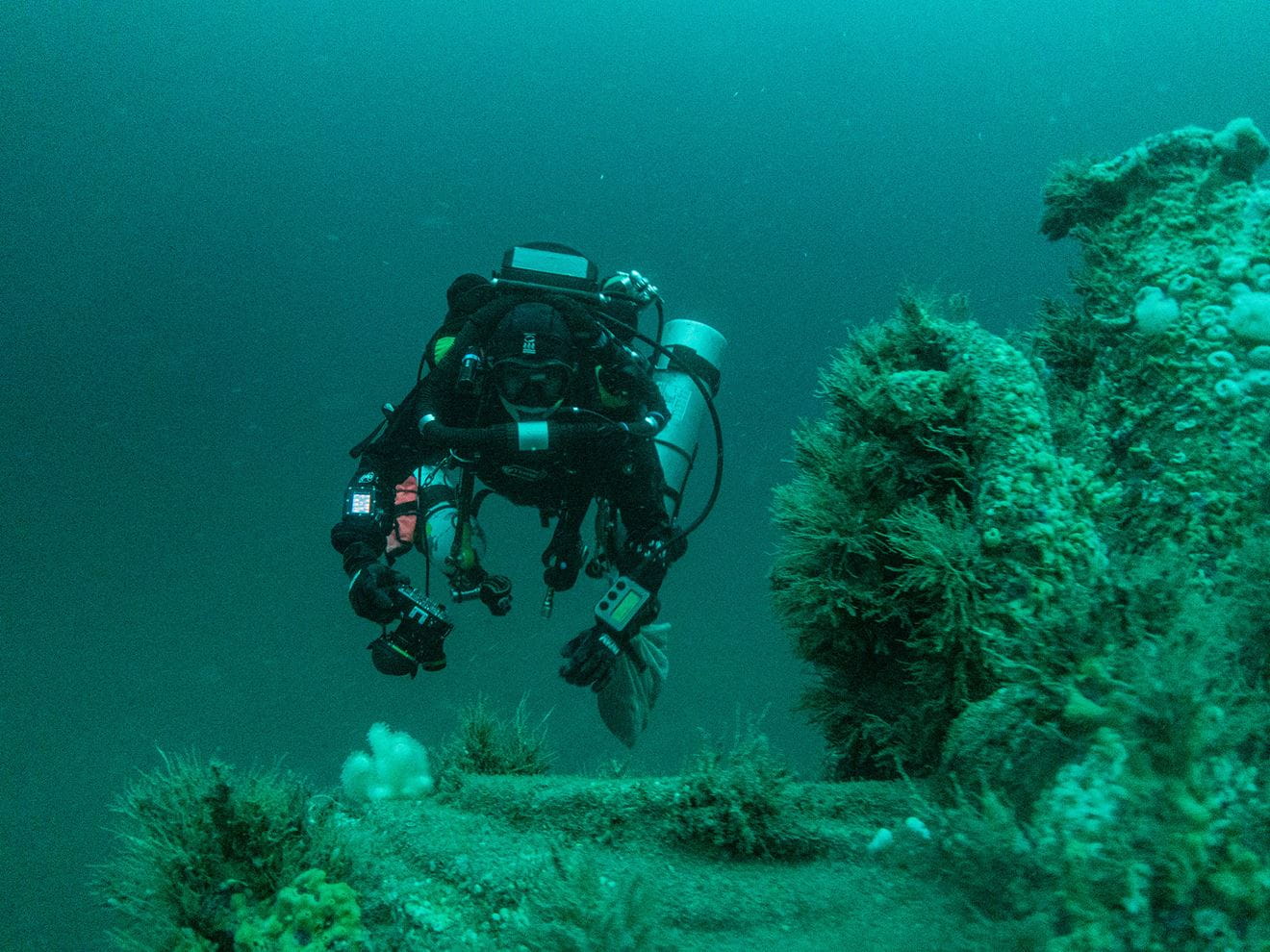 One of the dive team moves around the heavily-encrusted wreck One of the dive team moves around the heavily-encrusted wreck