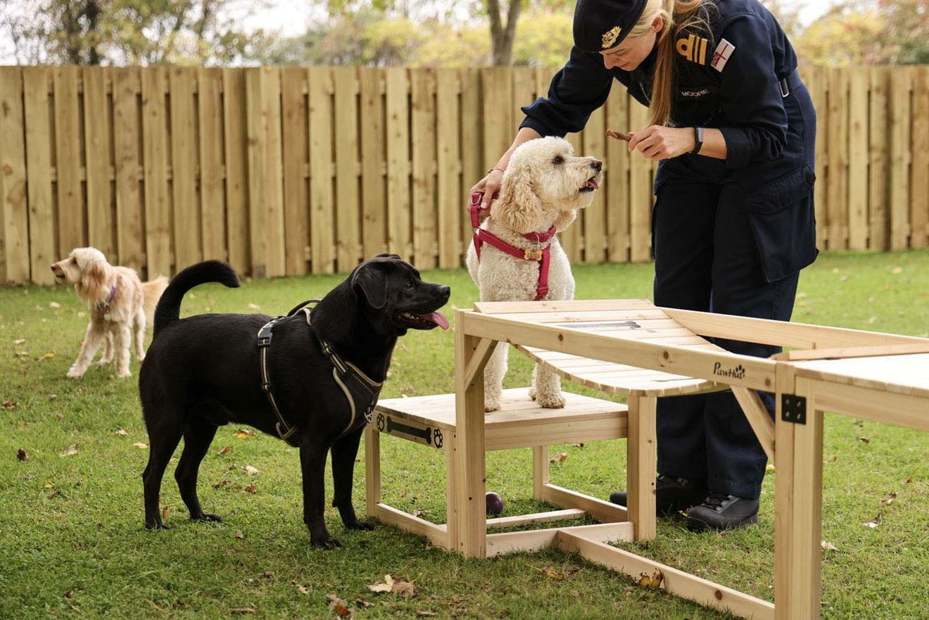 08 October 2025 – The official opening of the K9 Exercise area at HMS Excellent by Commanding Officer Commander Craig Woolhead. 