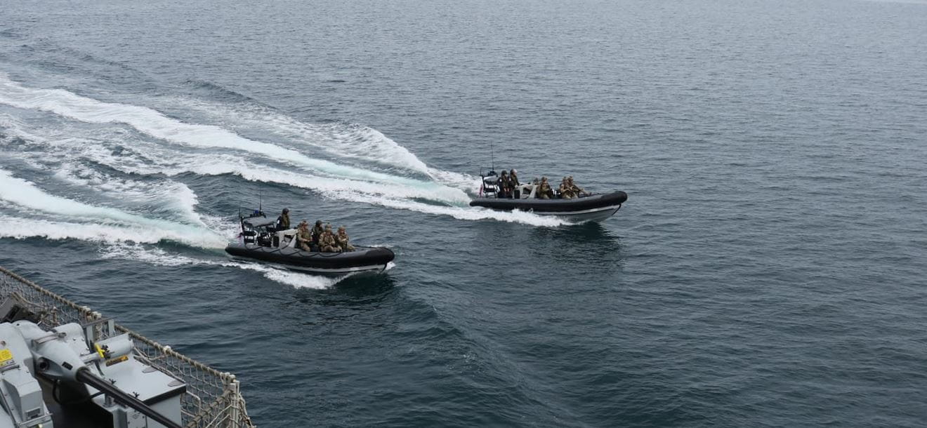 Seabots at sea