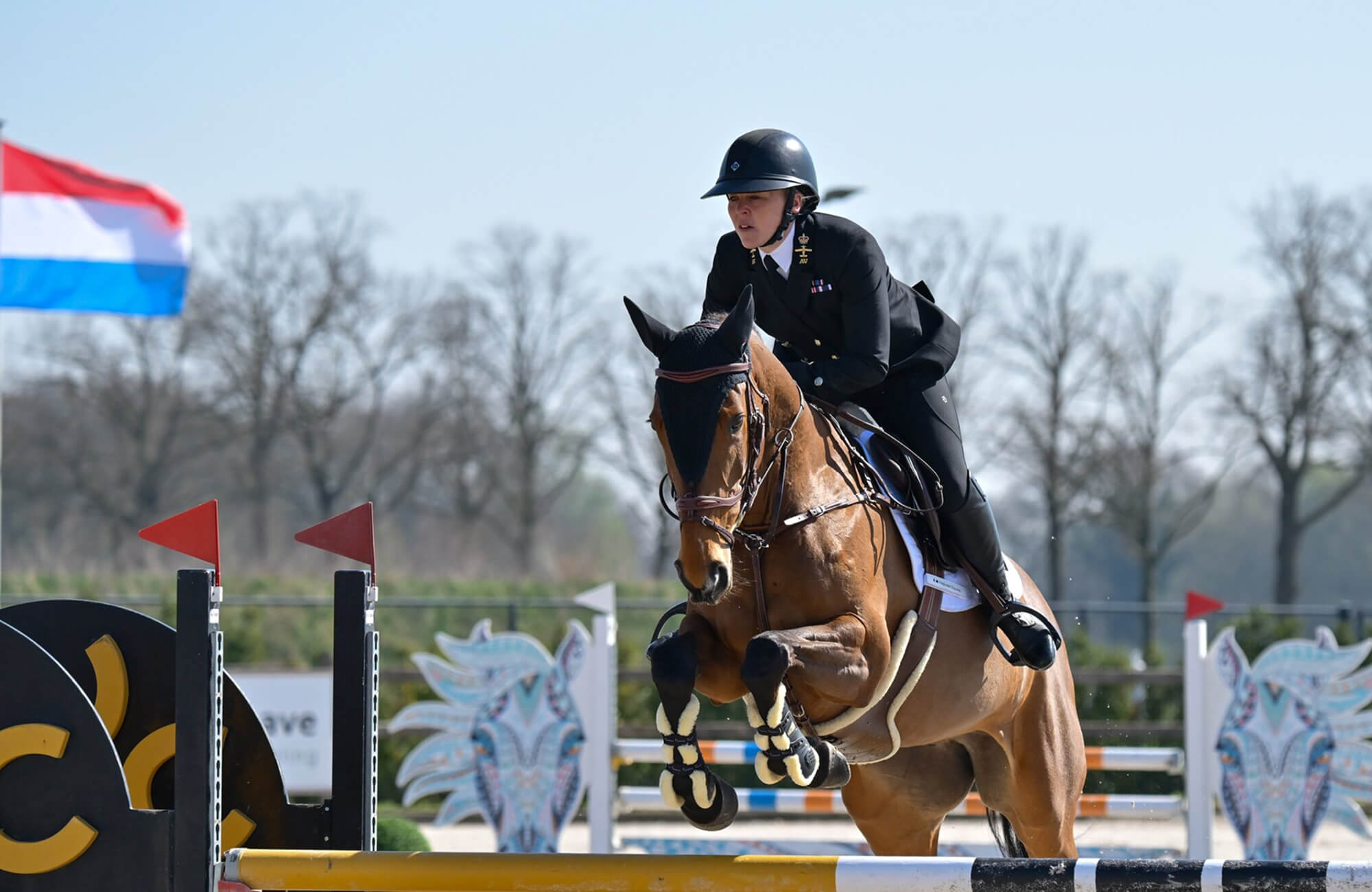 A colour photo shows a Royal Navy equestrian rider and her horse, mid-jump. They leap over a fence obstacle, wearing official Royal Navy equestrian kit.