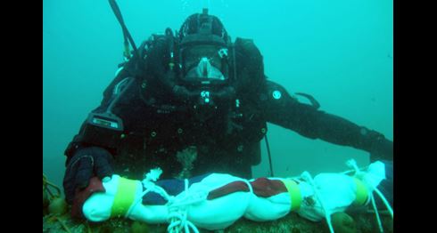 Divers salute the Royal Oak
