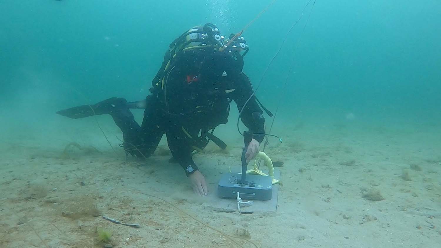 Royal Navy divers have been training their Ukrainian counterparts in Scotland