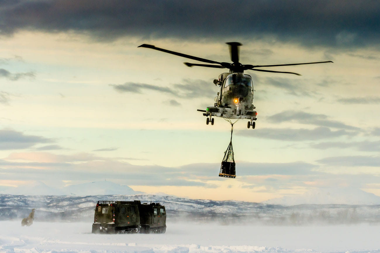 Merlins complete Arctic training