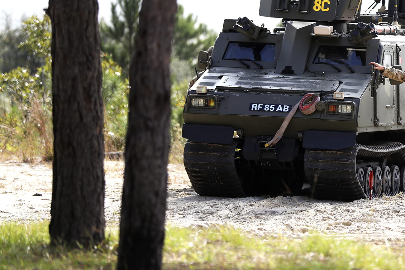 45 Commando Bold Alligator