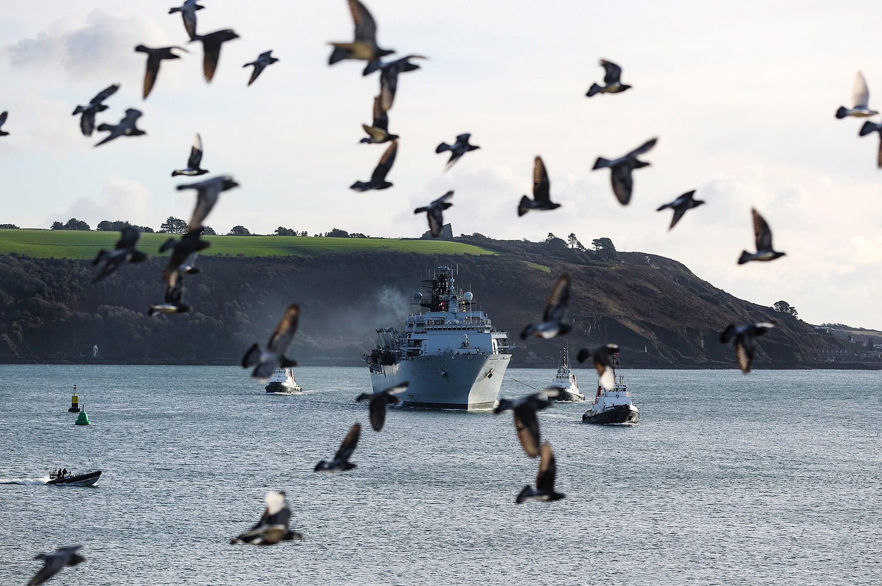 A flock of birds is stirred as HMS Albion passes the Hoe, accompanied by three tugs