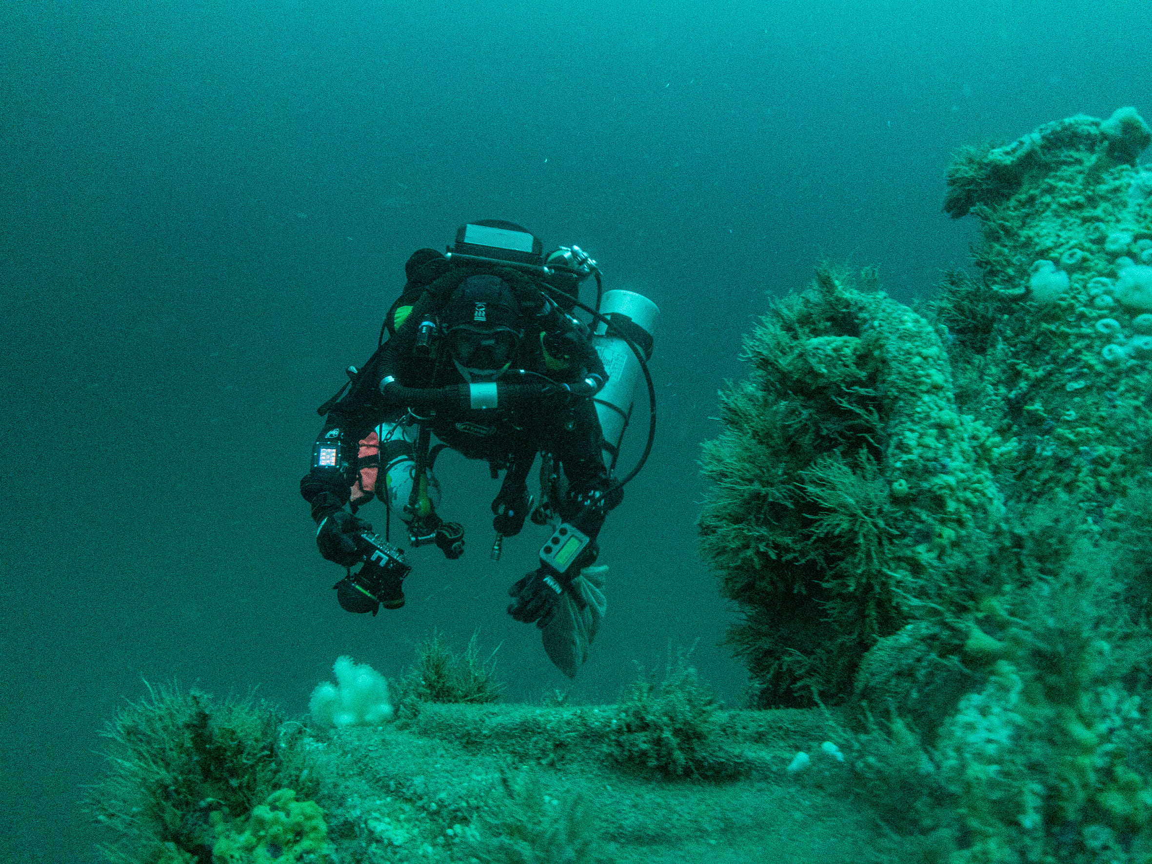 One of the dive team moves around the heavily-encrusted wreck One of the dive team moves around the heavily-encrusted wreck